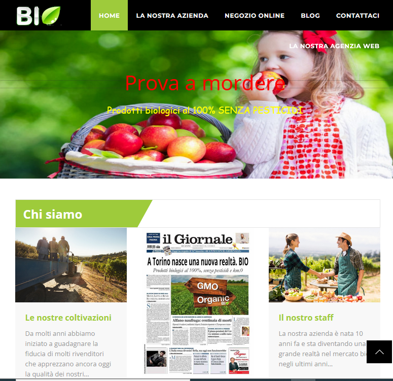 Realizzazione di un sito e commerce - blog Joomla per progetto